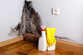 Clark, SD Mold Removal & Remediation Company